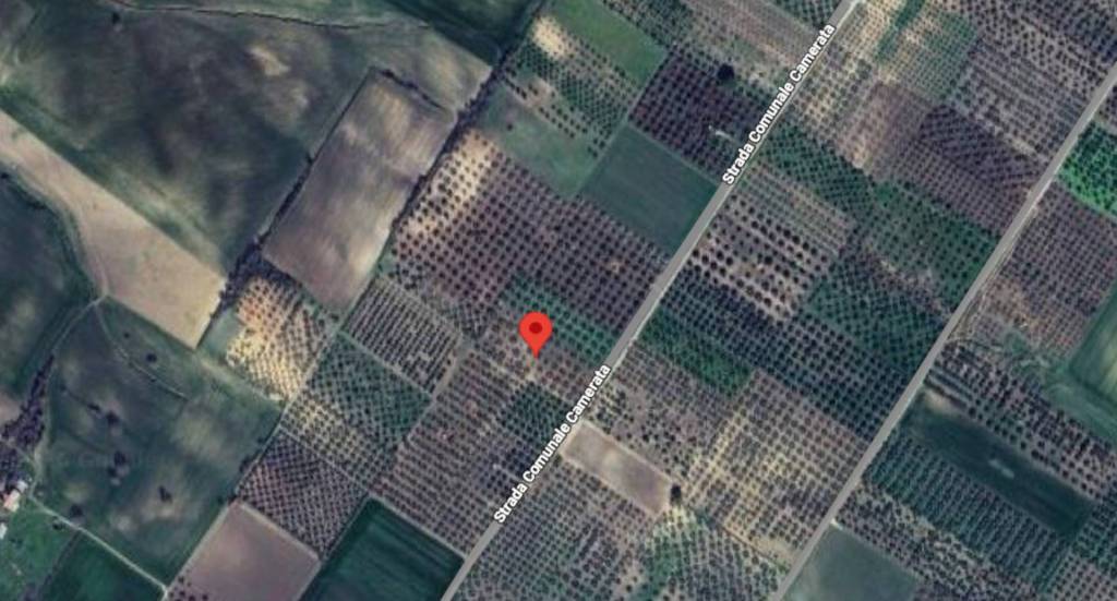 immagine annuncio 9 di 12