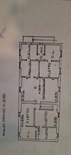 immagine annuncio 2 di 8