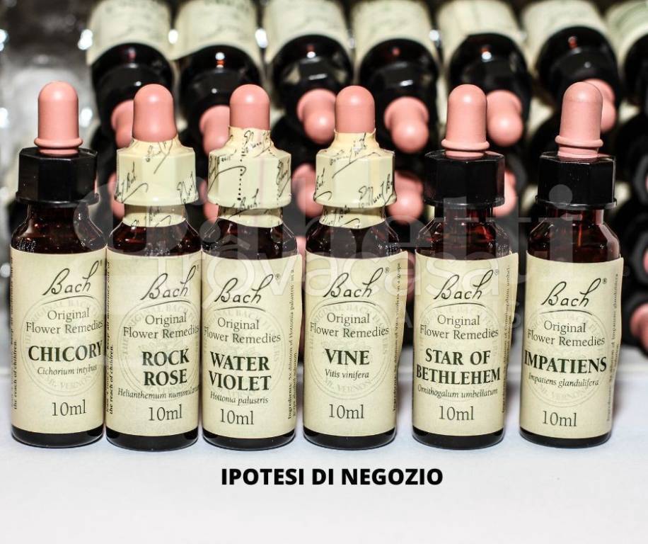 immagine annuncio 5 di 8