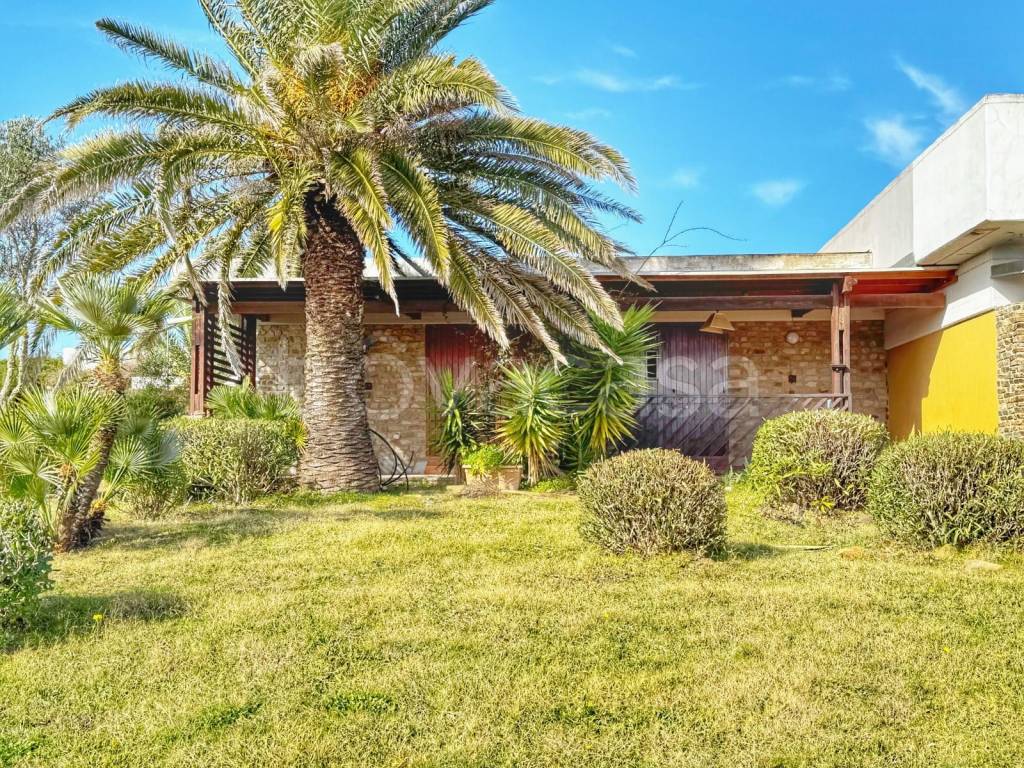 immagine annuncio 12 di 14