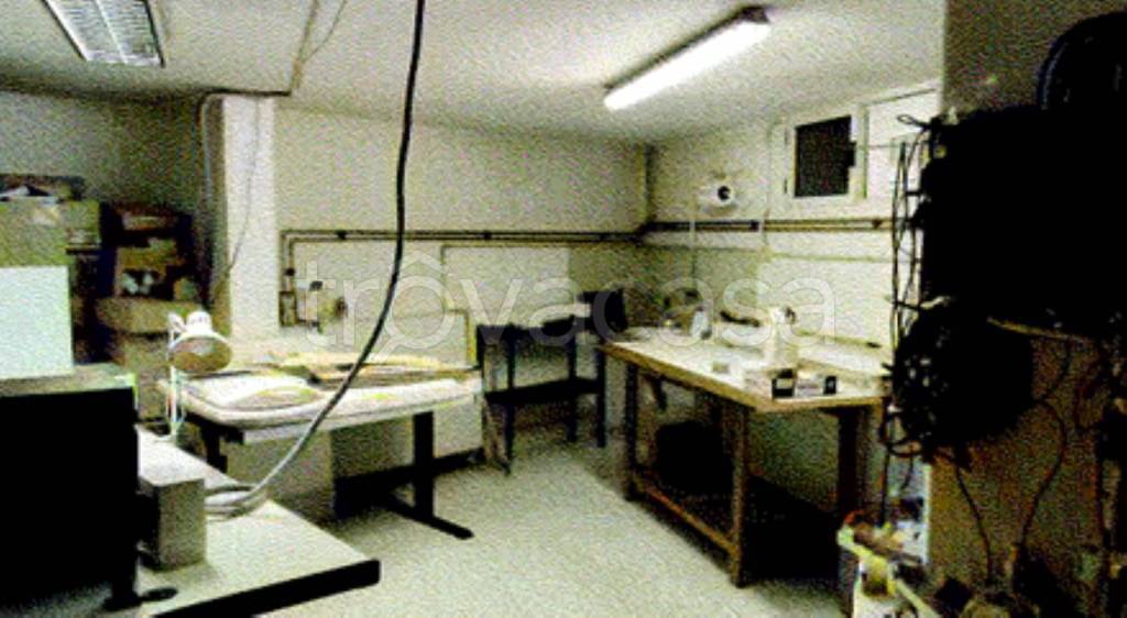 immagine annuncio 12 di 14