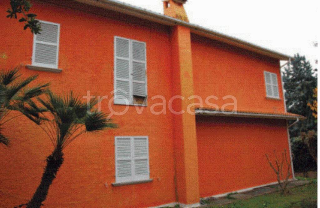 immagine annuncio 3 di 11