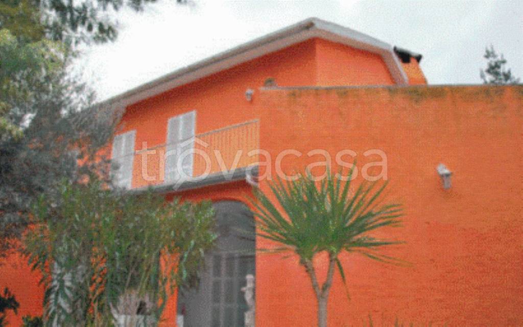 immagine annuncio 7 di 11