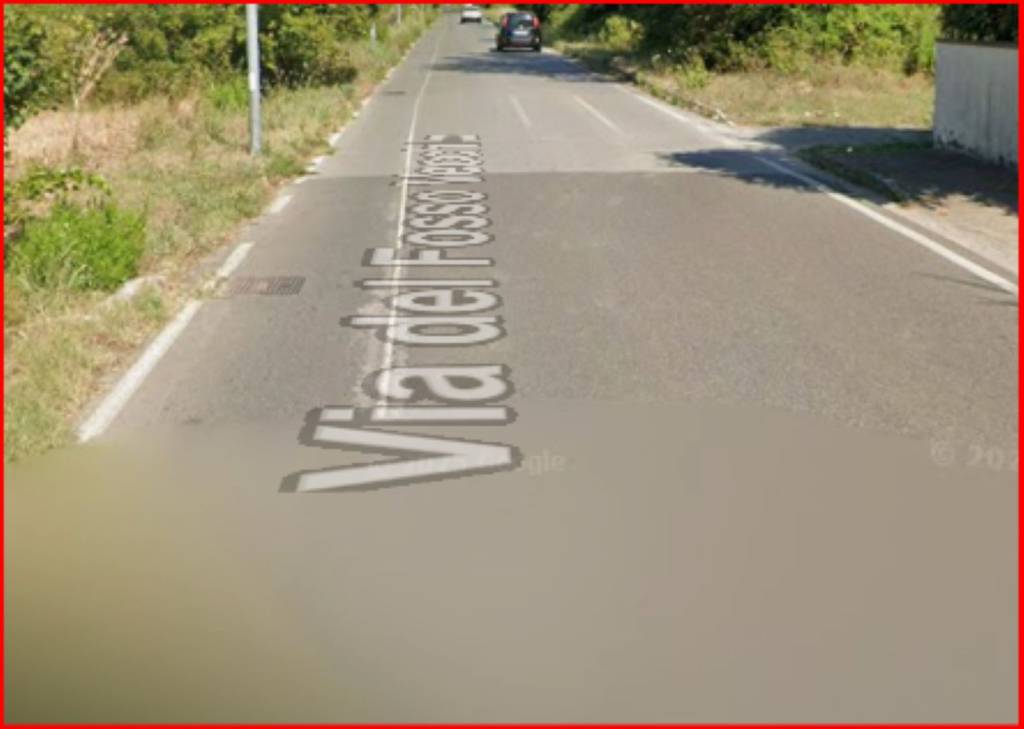 immagine annuncio 6 di 12