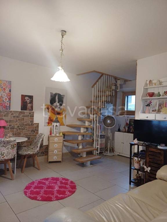 immagine annuncio 4 di 14