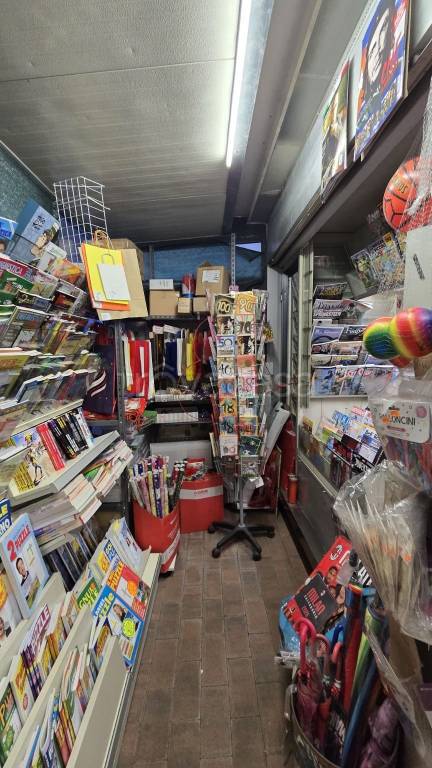 immagine annuncio 5 di 15