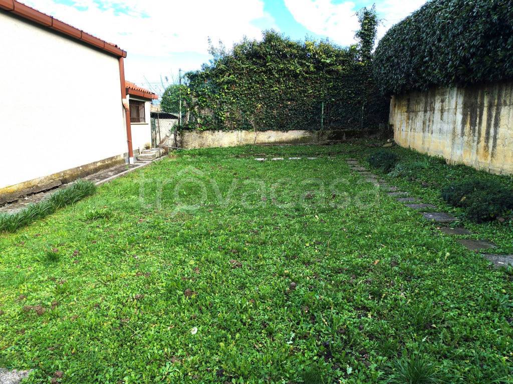 immagine annuncio 5 di 8