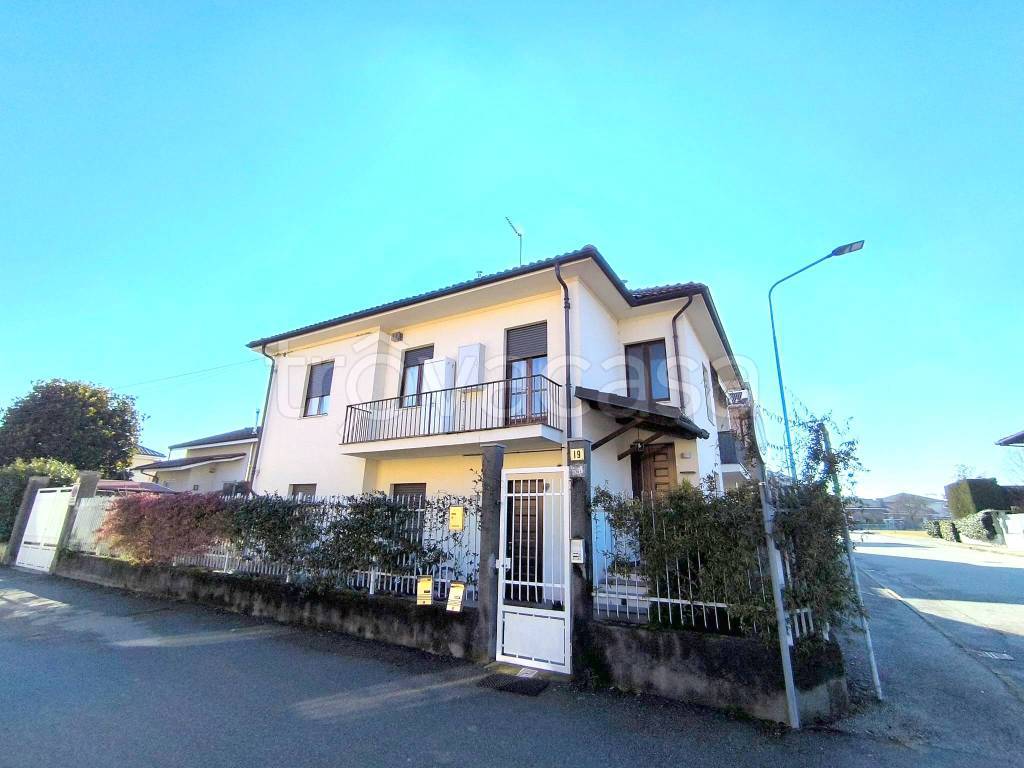 immagine annuncio 12 di 14