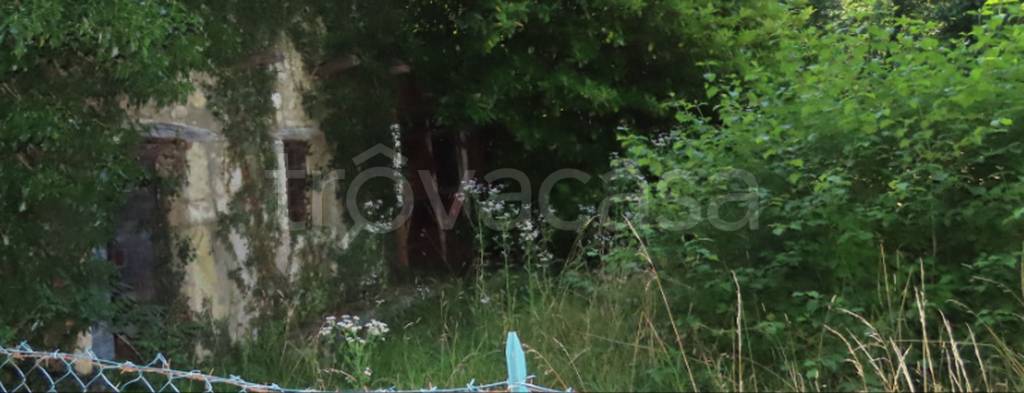 immagine annuncio 6 di 11