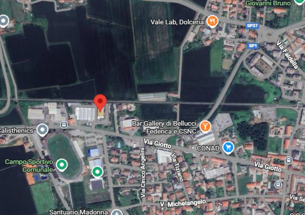 immagine annuncio 9 di 10