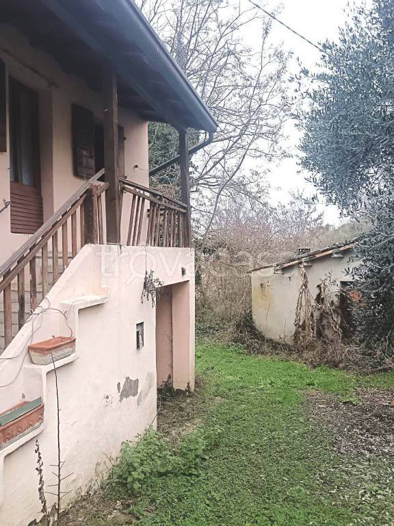 immagine annuncio 1 di 6