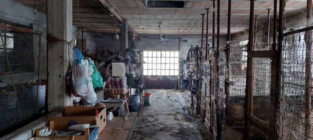 immagine annuncio 4 di 9