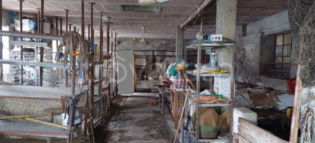 immagine annuncio 5 di 9