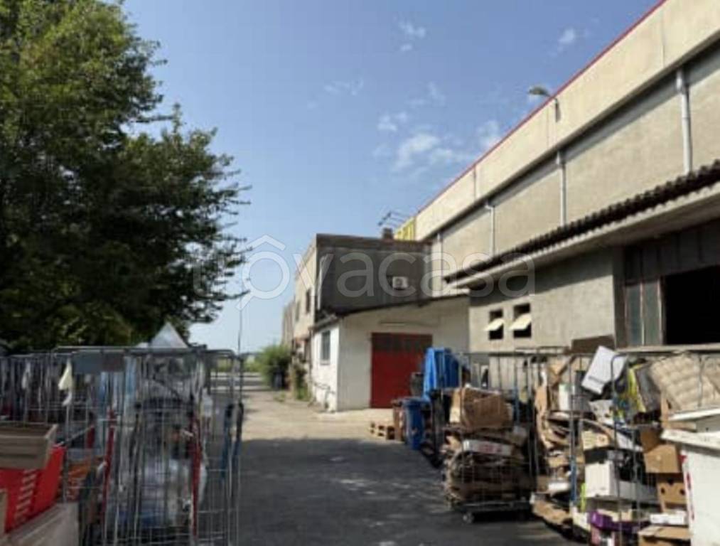 immagine annuncio 5 di 12