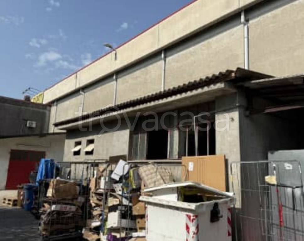 immagine annuncio 6 di 12