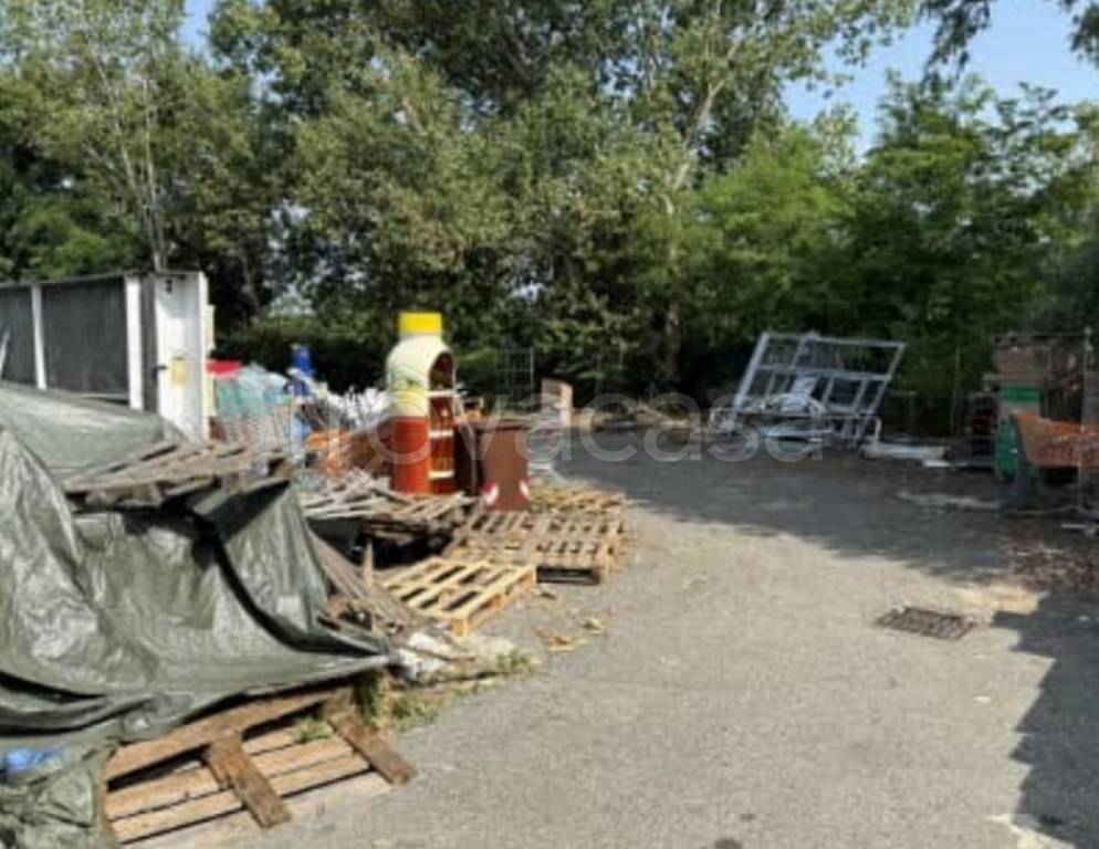 immagine annuncio 9 di 12