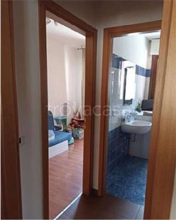 immagine annuncio 10 di 14