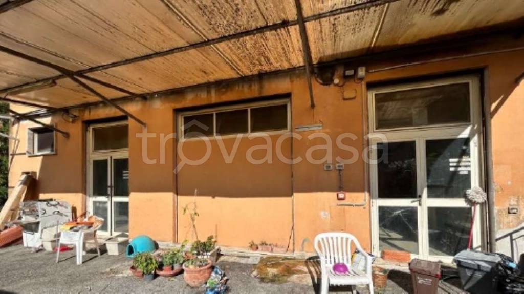 immagine annuncio 5 di 11