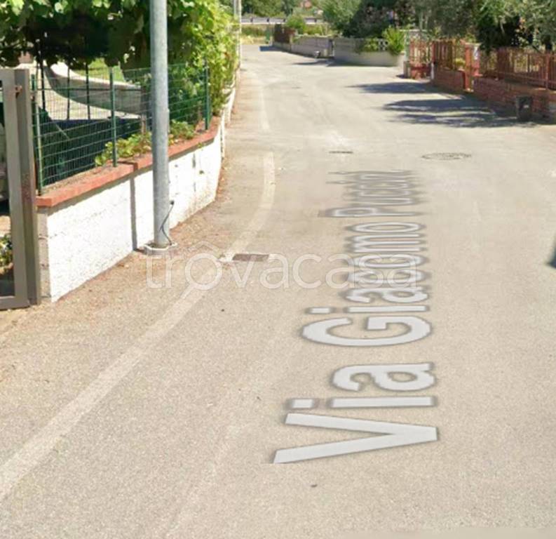 immagine annuncio 2 di 11