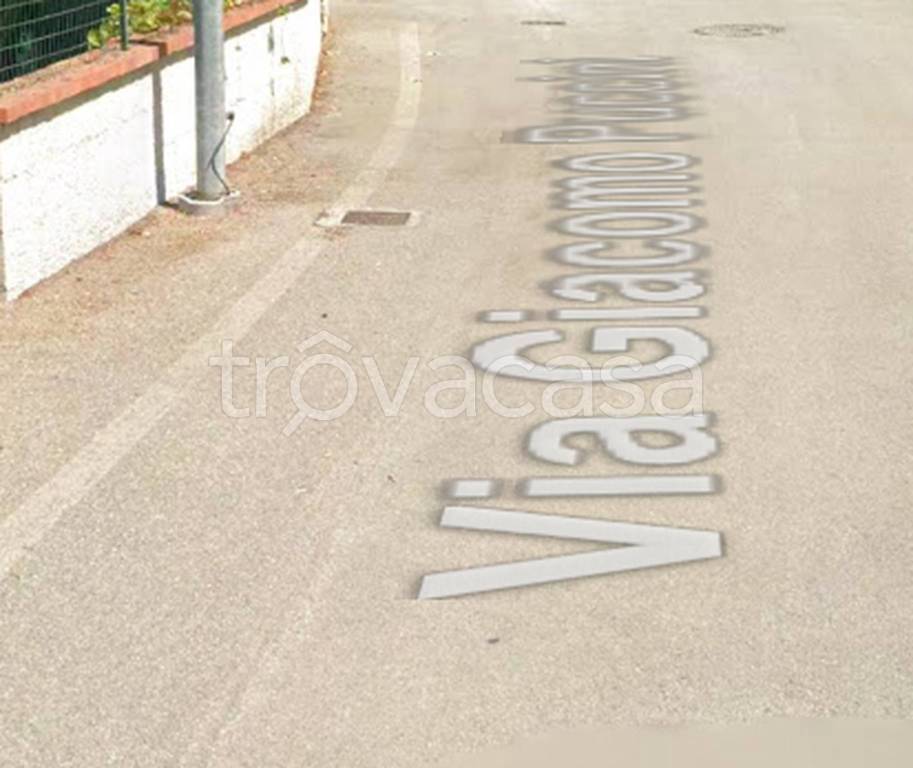 immagine annuncio 10 di 11