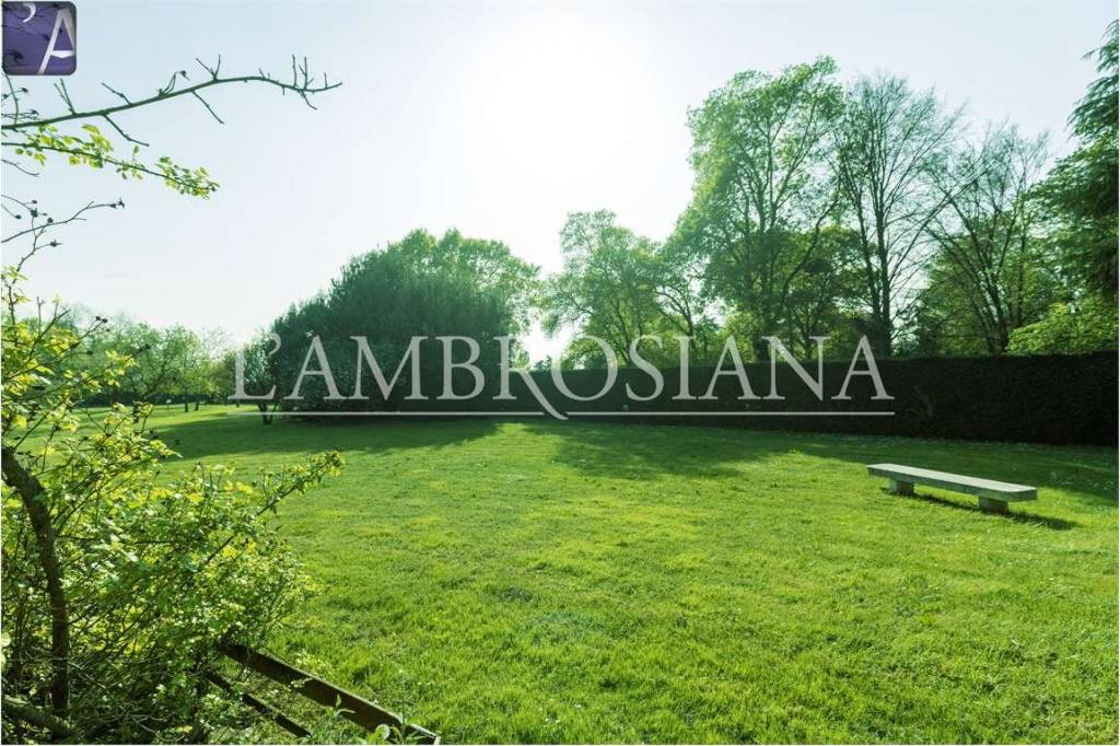 immagine annuncio 7 di 9