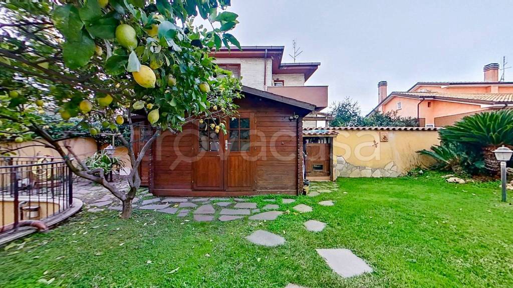 immagine annuncio 4 di 15