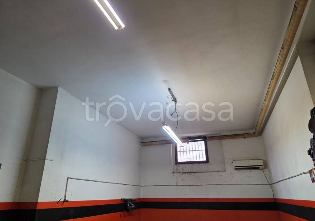 immagine annuncio 3 di 8