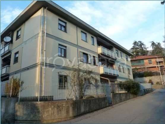 immagine annuncio 6 di 7