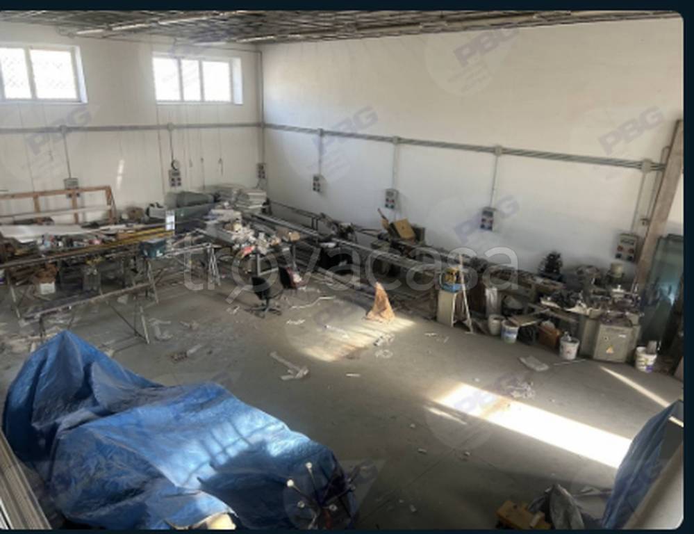 immagine annuncio 2 di 12