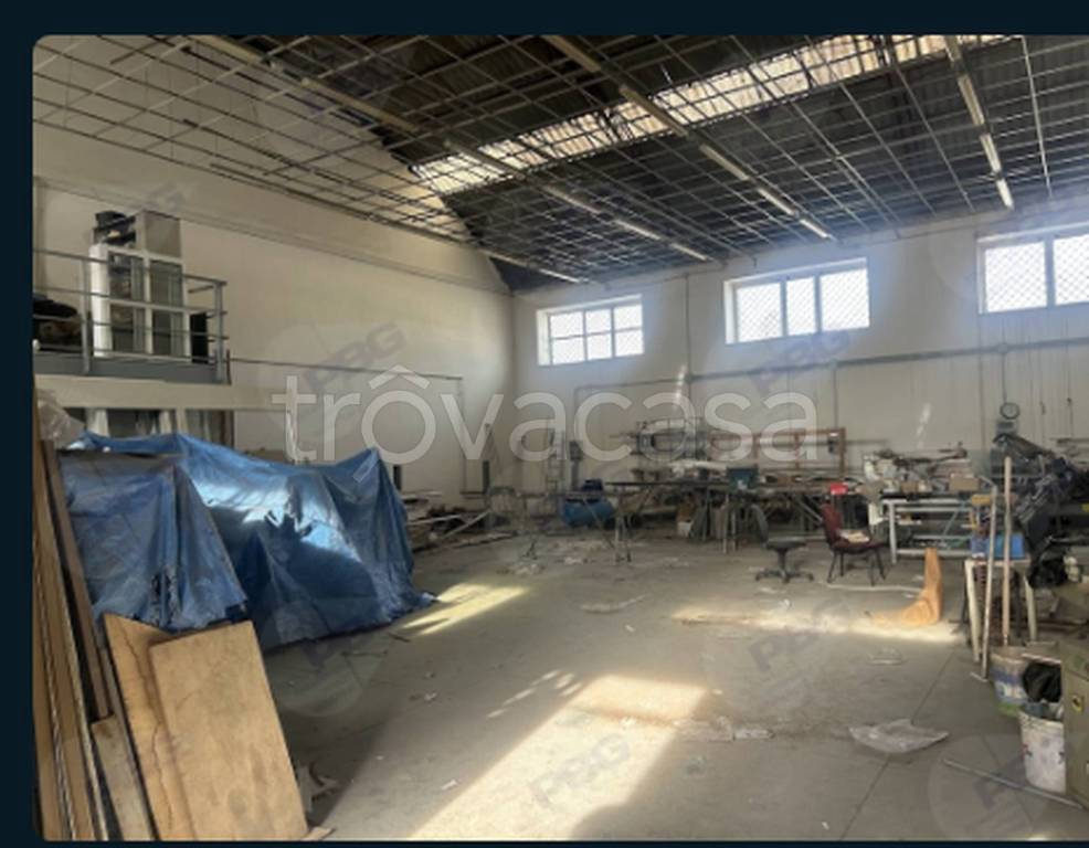 immagine annuncio 1 di 12