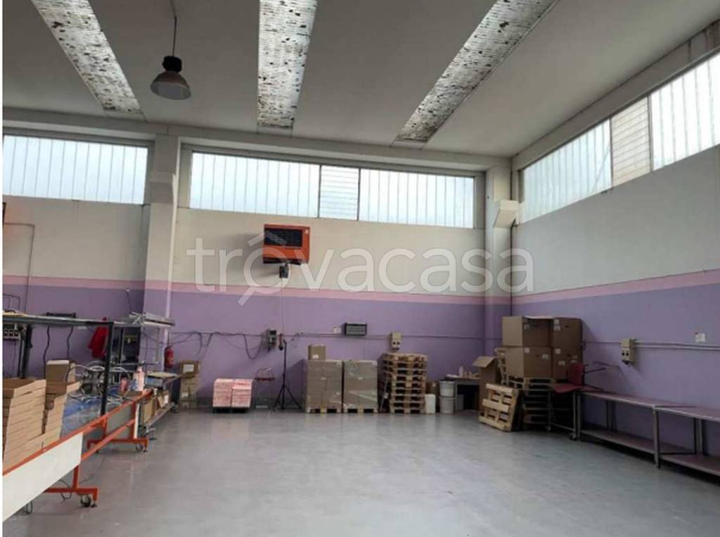 immagine annuncio 4 di 11