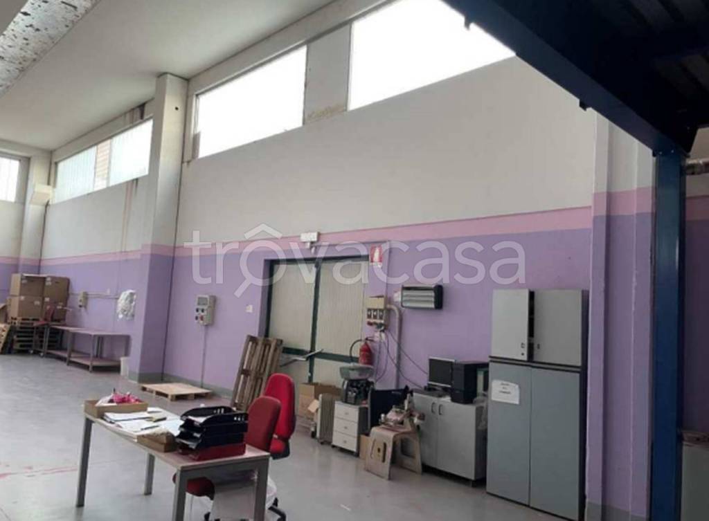 immagine annuncio 5 di 11