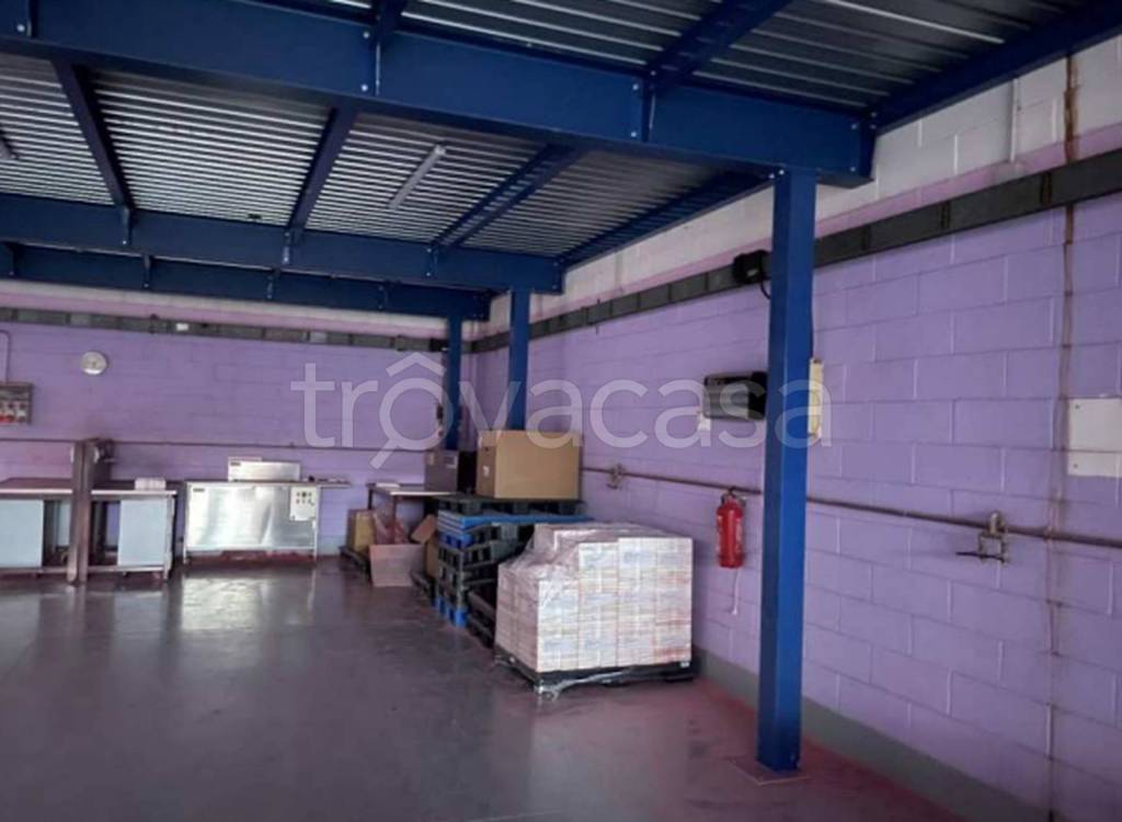 immagine annuncio 7 di 11