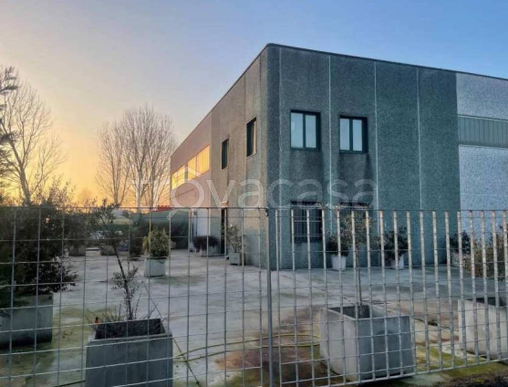 immagine annuncio 8 di 11