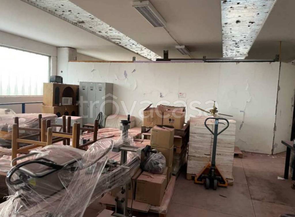 immagine annuncio 9 di 11