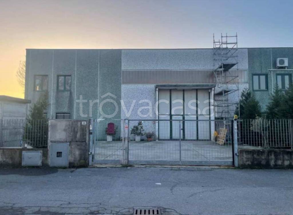 immagine annuncio 10 di 11