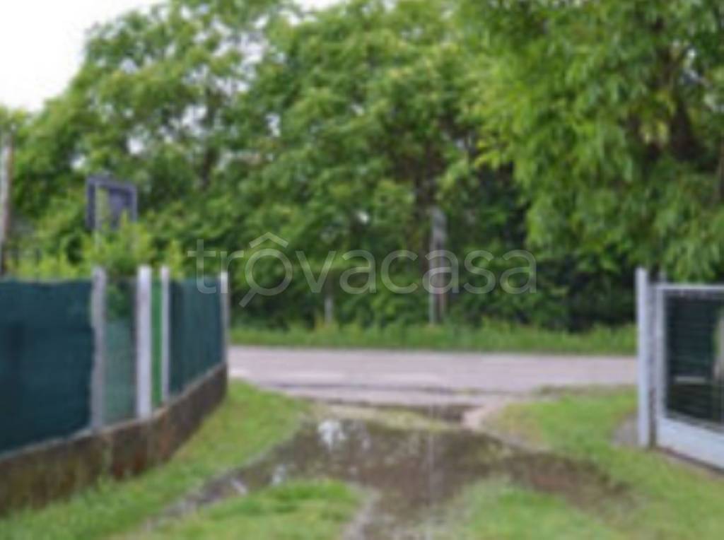 immagine annuncio 5 di 11