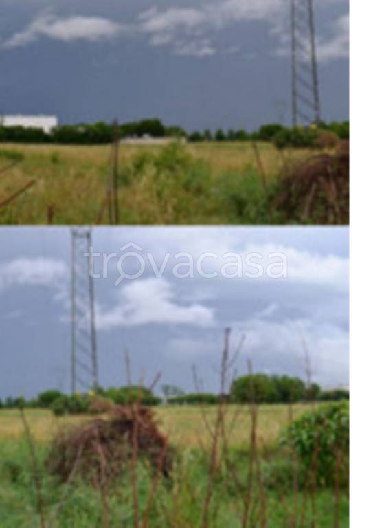 immagine annuncio 9 di 11