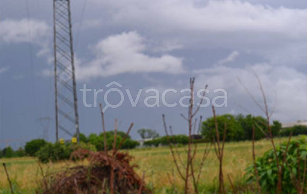 immagine annuncio 10 di 11