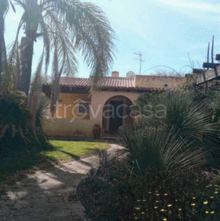 immagine annuncio 5 di 9