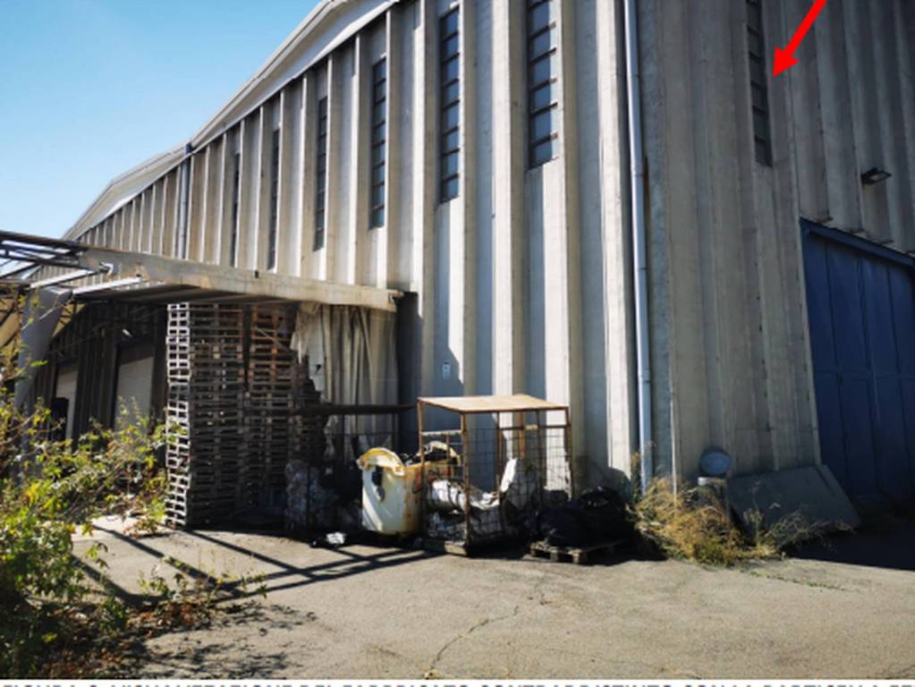 immagine annuncio 8 di 12