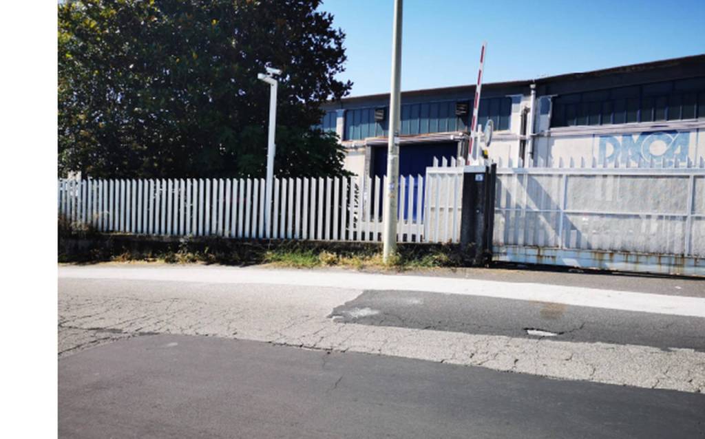 immagine annuncio 10 di 12