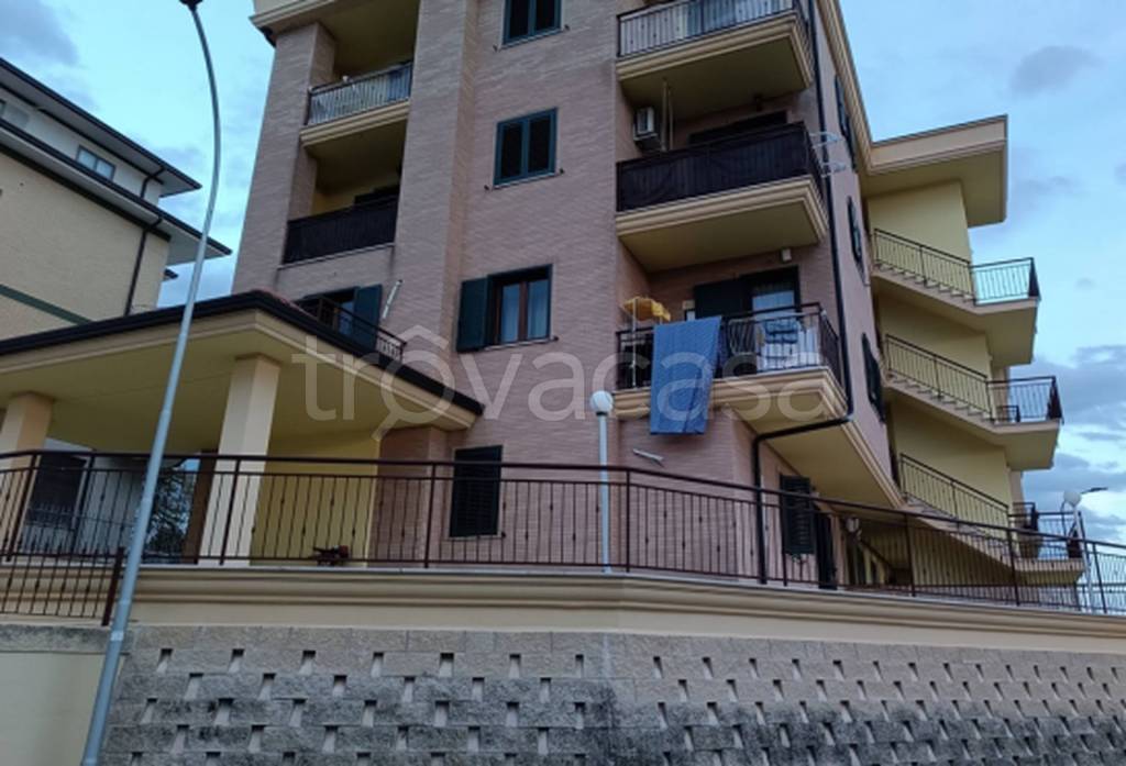 immagine annuncio 7 di 11