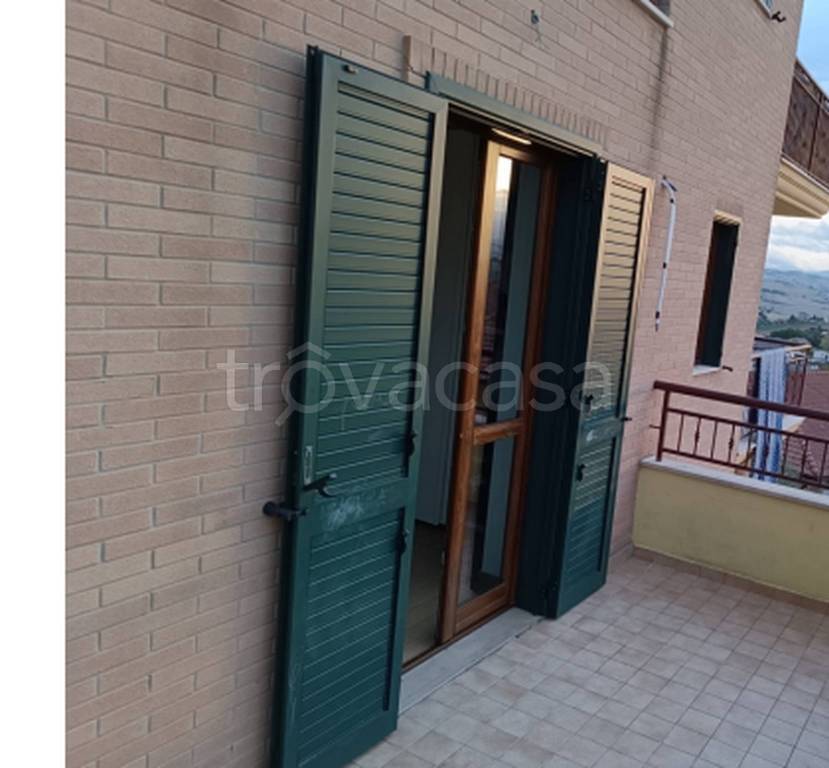 immagine annuncio 9 di 11