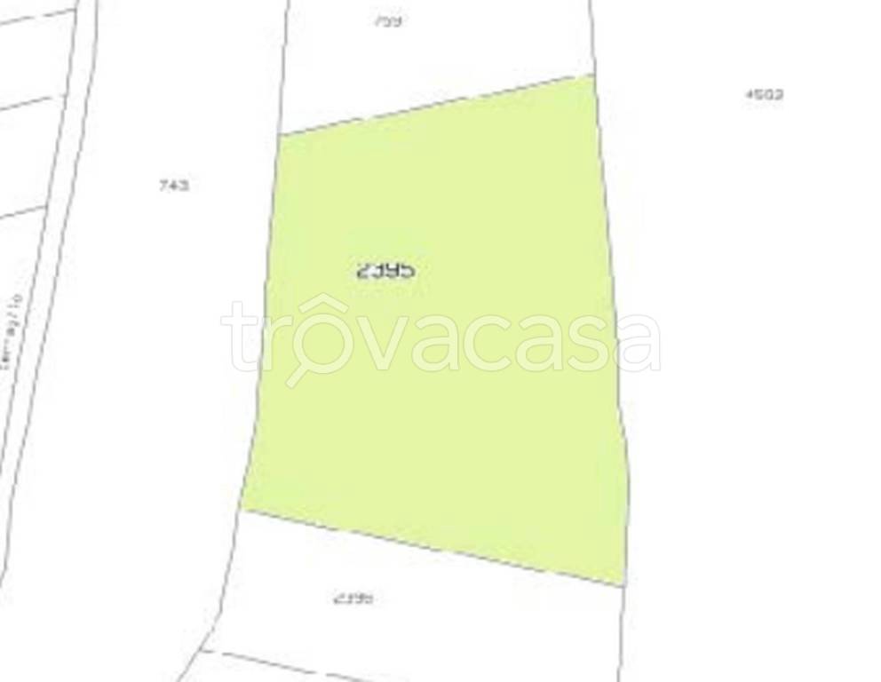 immagine annuncio 9 di 13