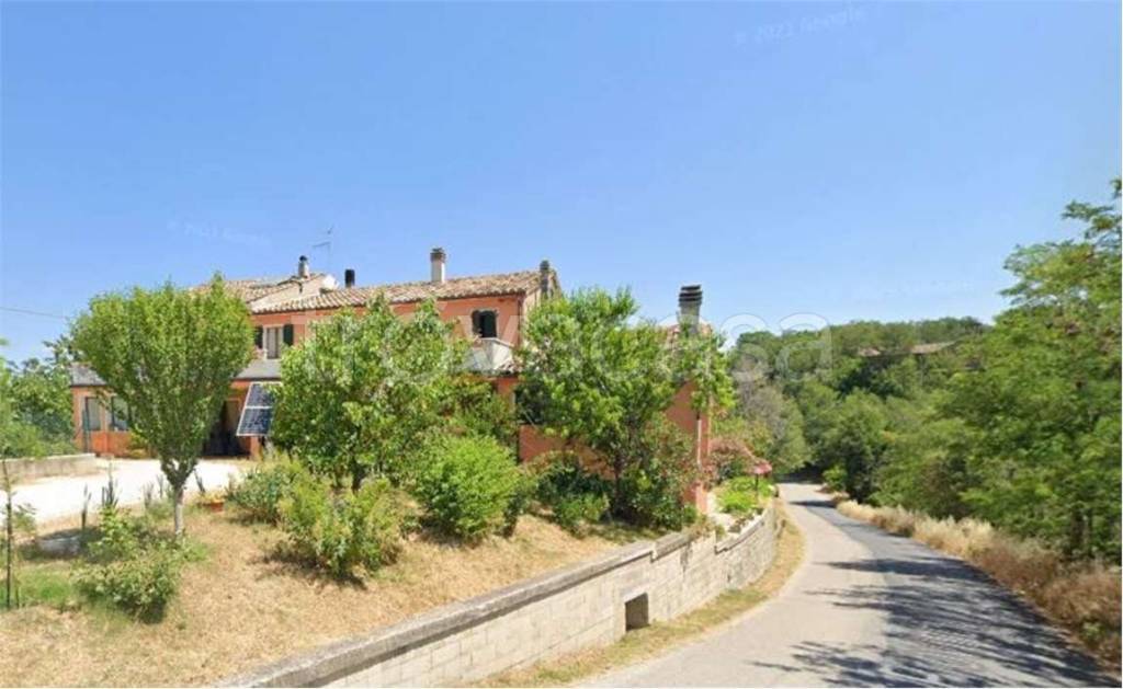 immagine annuncio 5 di 11