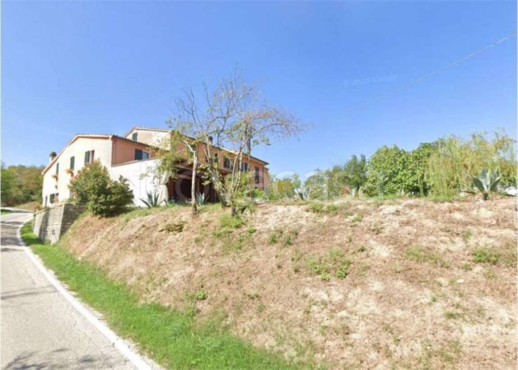 immagine annuncio 9 di 11