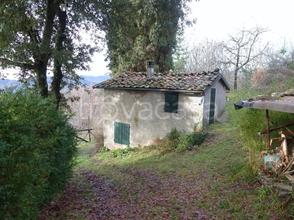 immagine annuncio 8 di 11