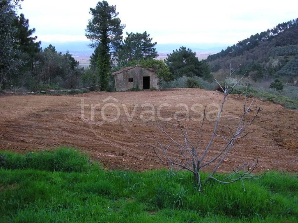 immagine annuncio 4 di 7