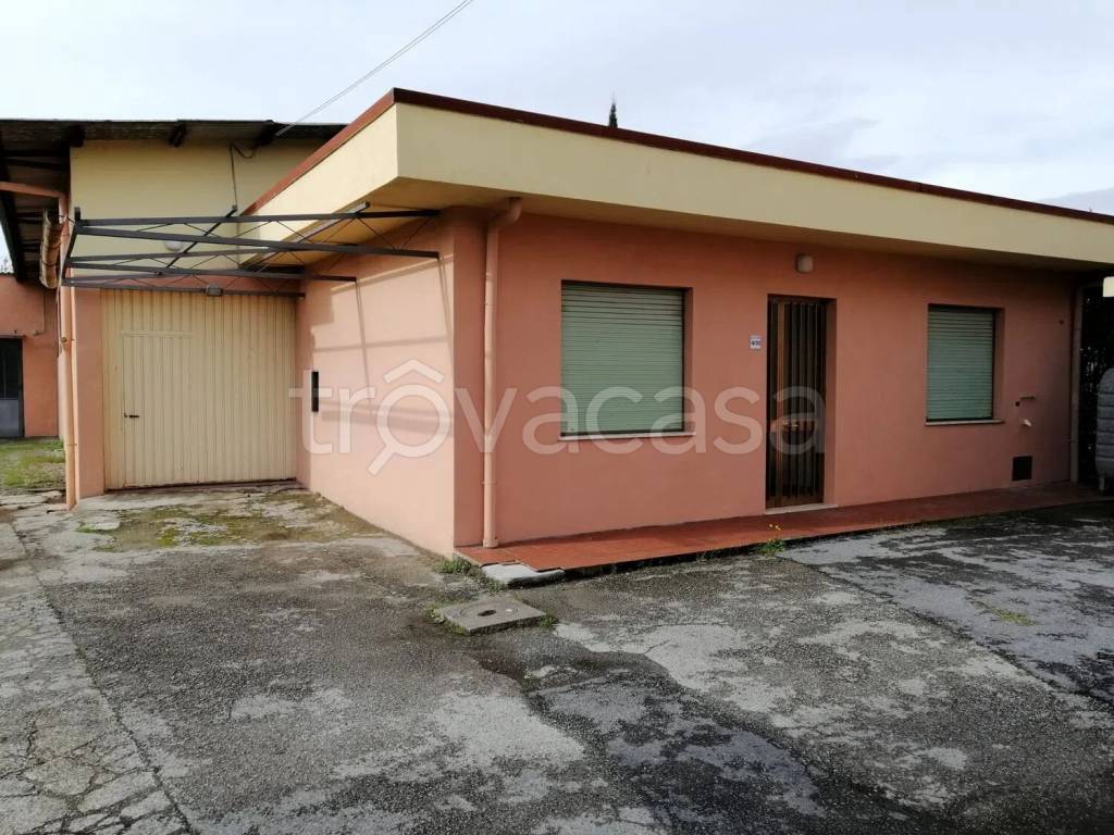 immagine annuncio 5 di 6